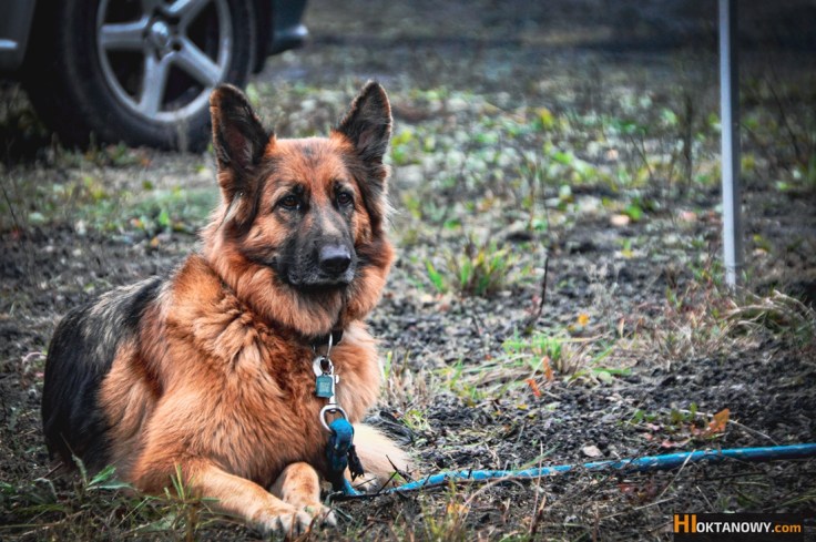 ktmsklep-enduro-race-runda-3-2019-223-hi